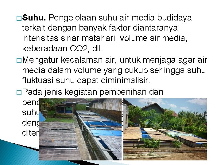 � Suhu. Pengelolaan suhu air media budidaya terkait dengan banyak faktor diantaranya: intensitas sinar