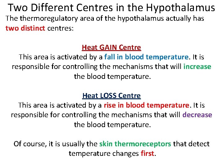 Two Different Centres in the Hypothalamus The thermoregulatory area of the hypothalamus actually has Two Different Centres in the Hypothalamus The thermoregulatory area of the hypothalamus actually has
