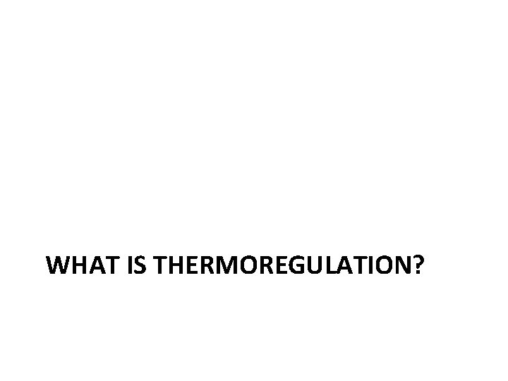 WHAT IS THERMOREGULATION? 