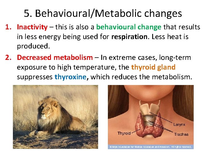 5. Behavioural/Metabolic changes 1. Inactivity – this is also a behavioural change that results