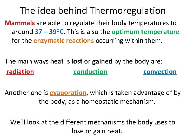 The idea behind Thermoregulation Mammals are able to regulate their body temperatures to around