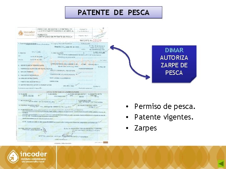 PATENTE DE PESCA DIMAR AUTORIZA ZARPE DE PESCA • Permiso de pesca. • Patente