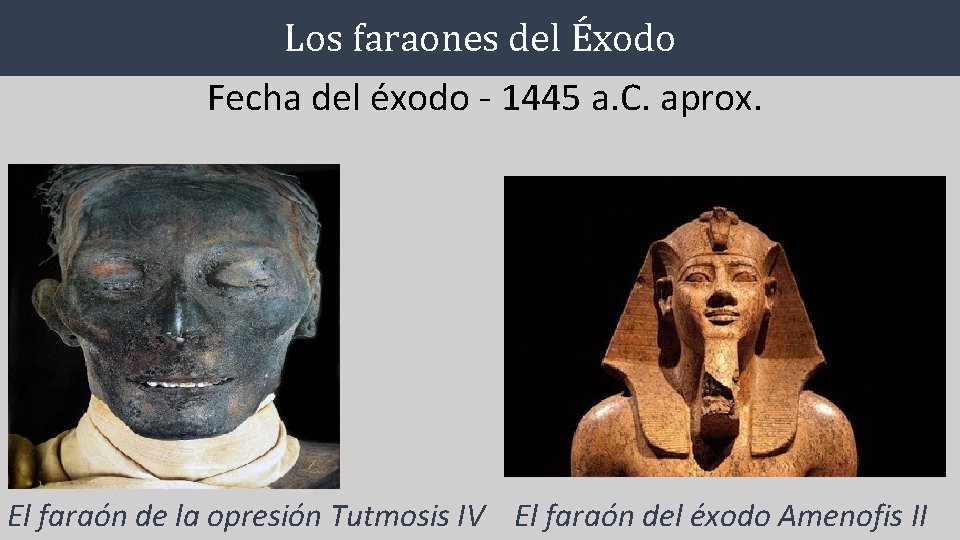 Los faraones del Éxodo Fecha del éxodo - 1445 a. C. aprox. El faraón