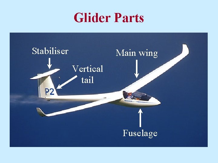 Glider Parts Stabiliser Main wing Vertical tail Fuselage 