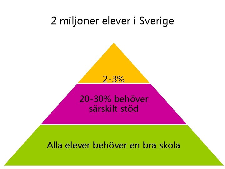 2 miljoner elever i Sverige 2 -3% 20 -30% behöver särskilt stöd Alla elever
