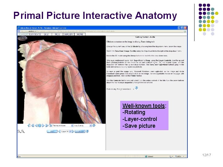 Primal Picture Interactive Anatomy Surgery – Axilla Well-known tools: tools -Rotating -Layer-control -Save picture