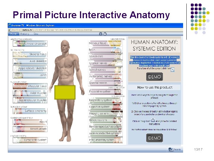 Primal Picture Interactive Anatomy 13/17 