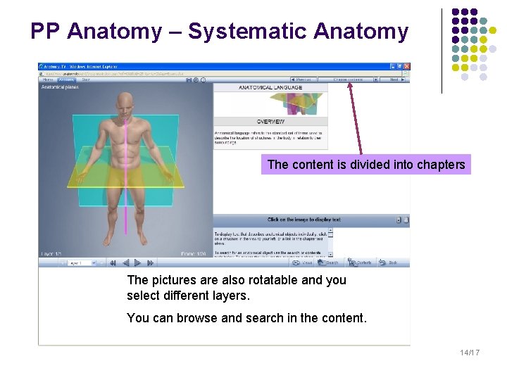 PP Anatomy – Systematic Anatomy The content is divided into chapters The pictures are