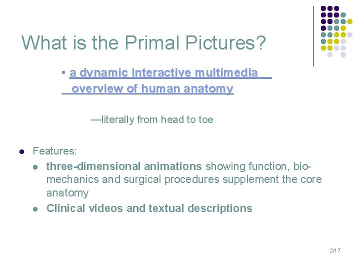 What is the Primal Pictures? • a dynamic interactive multimedia overview of human anatomy
