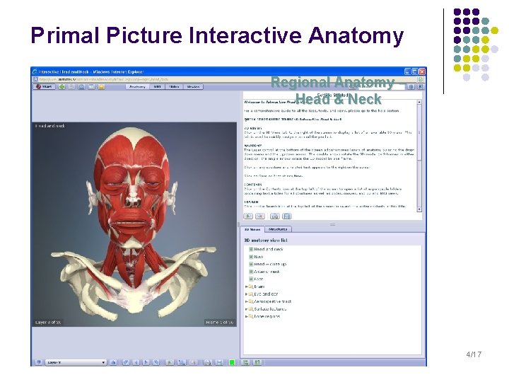 Primal Picture Interactive Anatomy Regional Anatomy – Head & Neck 4/17 