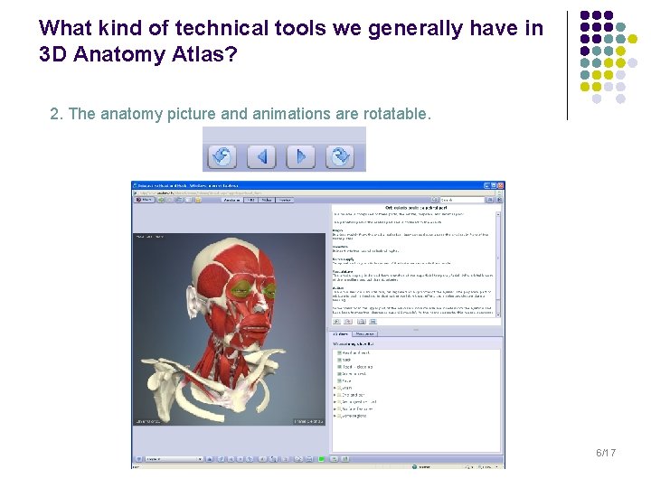 What kind of technical tools we generally have in 3 D Anatomy Atlas? 2.