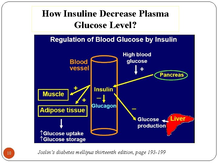 How Insuline Decrease Plasma Glucose Level? 10 Joslin’s diabetes melliyus thirteenth edition, page 193