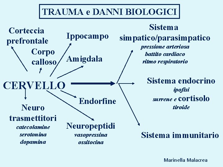 TRAUMA e DANNI BIOLOGICI Corteccia prefrontale Corpo calloso Ippocampo Amigdala catecolamine serotonina dopamina pressione