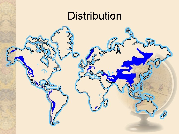 Distribution 