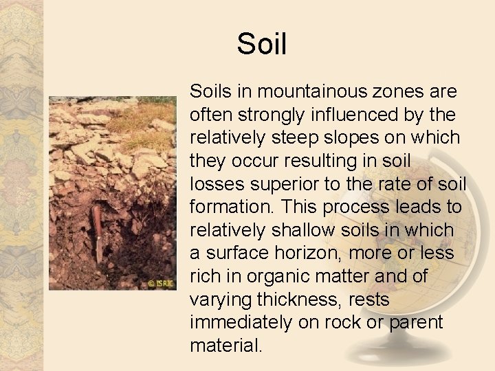 Soils in mountainous zones are often strongly influenced by the relatively steep slopes on
