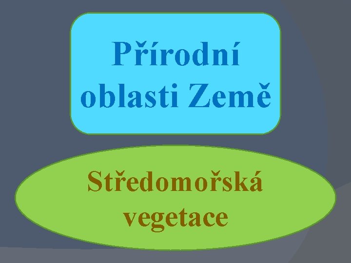 Přírodní oblasti Země Středomořská vegetace 