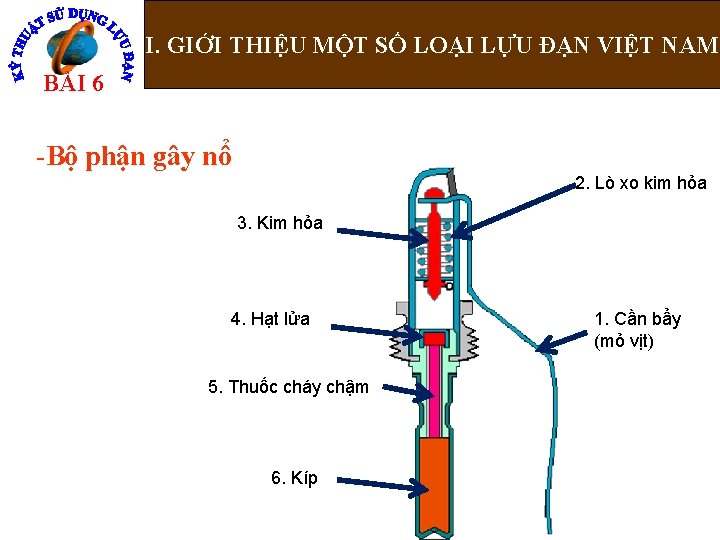 I. GIỚI THIỆU MỘT SỐ LOẠI LỰU ĐẠN VIỆT NAM BÀI 6 -Bộ phận