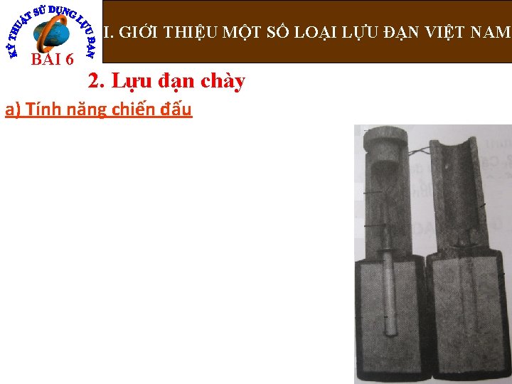 I. GIỚI THIỆU MỘT SỐ LOẠI LỰU ĐẠN VIỆT NAM Nguyễn Bá Đoàn BÀI