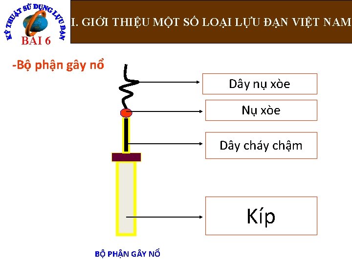 I. GIỚI THIỆU MỘT SỐ LOẠI LỰU ĐẠN VIỆT NAM Nguyễn Bá Đoàn BÀI