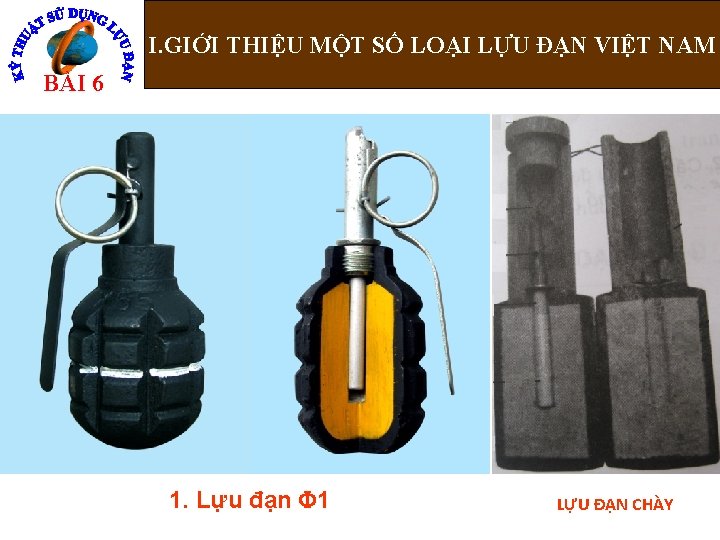 I. GIỚI THIỆU MỘT SỐ LOẠI LỰU ĐẠN VIỆT NAM BÀI 6 1. Lựu