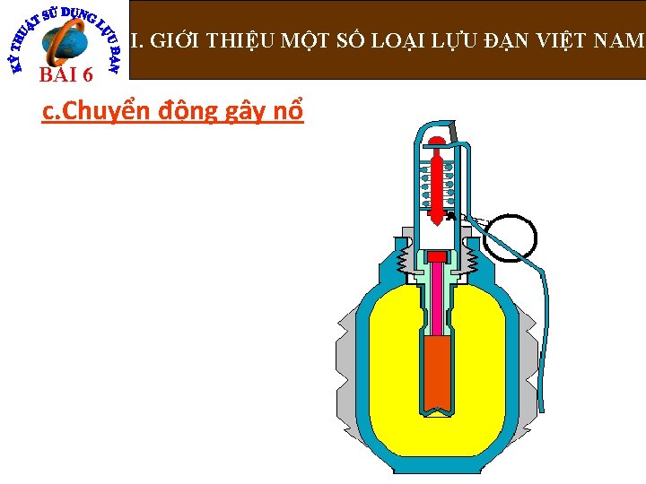 I. GIỚI THIỆU MỘT SỐ LOẠI LỰU ĐẠN VIỆT NAM BÀI 6 c. Chuyển