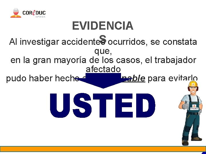 EVIDENCIA S ocurridos, se constata Al investigar accidentes que, en la gran mayoría de