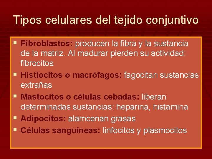 Tipos celulares del tejido conjuntivo § Fibroblastos: producen la fibra y la sustancia §