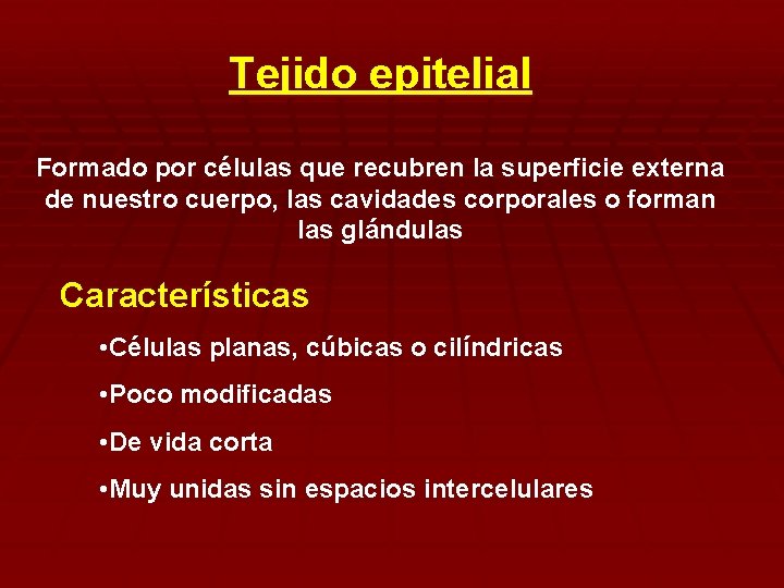 Tejido epitelial Formado por células que recubren la superficie externa de nuestro cuerpo, las