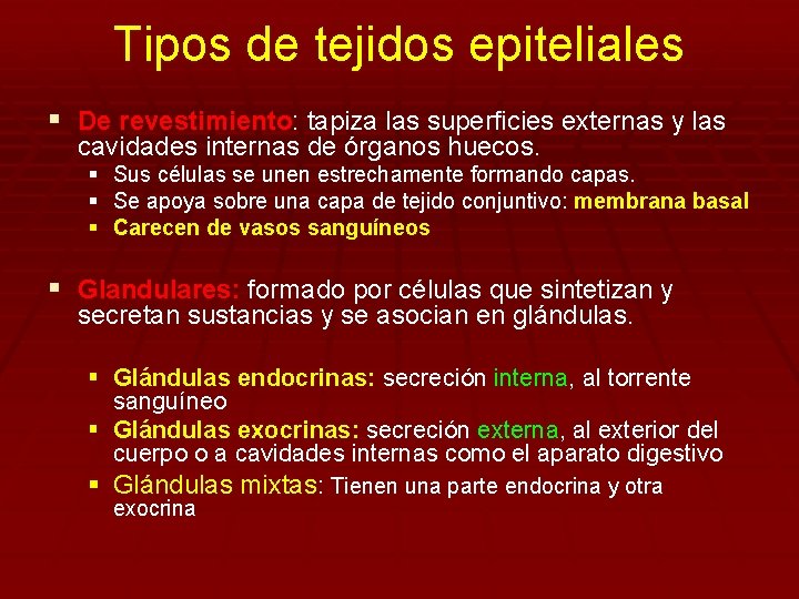 Tipos de tejidos epiteliales § De revestimiento: tapiza las superficies externas y las cavidades