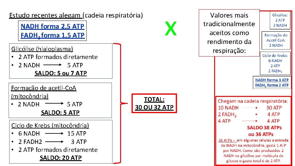 Estudo recentes alegam (cadeia respiratória) NADH forma 2, 5 ATP FADH 2 forma 1,