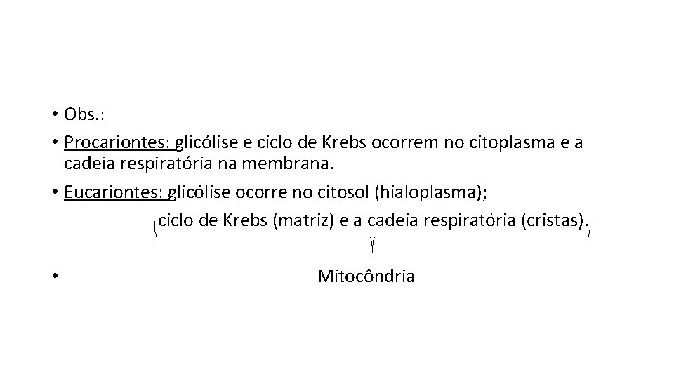  • Obs. : • Procariontes: glicólise e ciclo de Krebs ocorrem no citoplasma