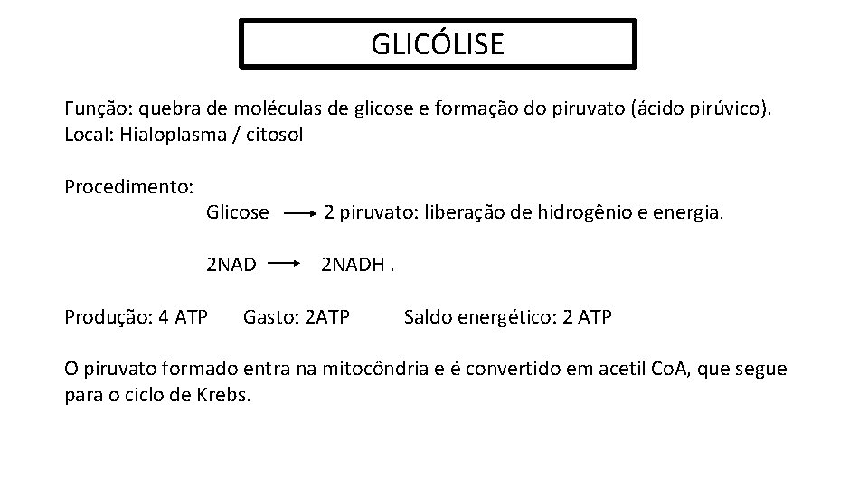 GLICÓLISE Função: quebra de moléculas de glicose e formação do piruvato (ácido pirúvico). Local: