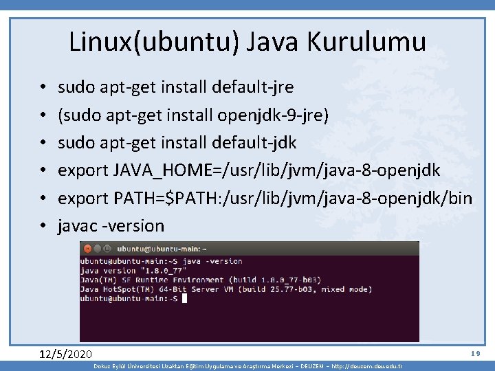 Linux(ubuntu) Java Kurulumu • • • sudo apt-get install default-jre (sudo apt-get install openjdk-9