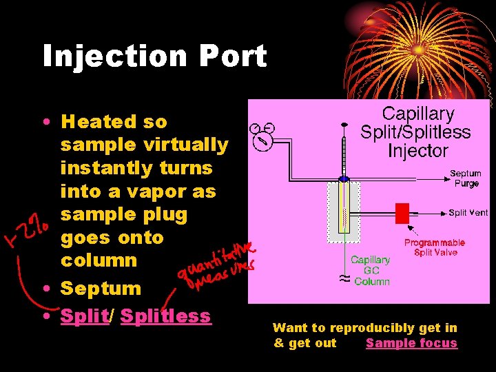 Injection Port • Heated so sample virtually instantly turns into a vapor as sample