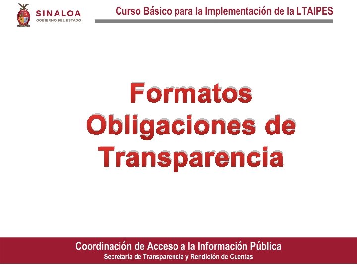 Formatos Obligaciones de Transparencia 