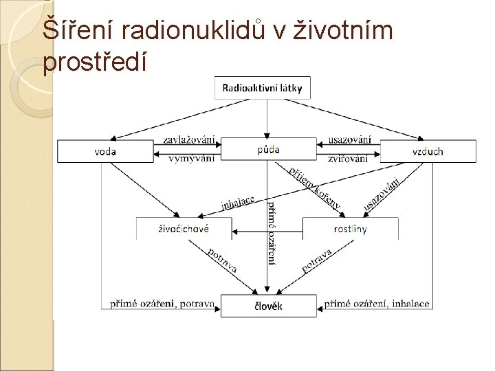Šíření radionuklidů v životním prostředí 