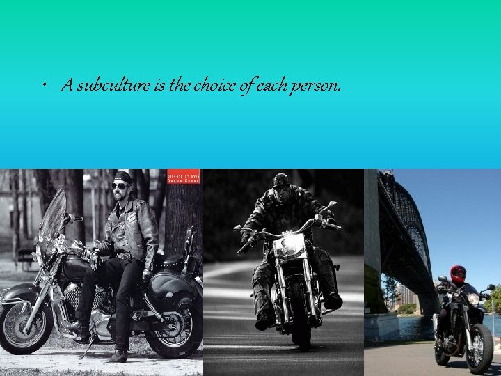  • A subculture is the choice of each person. 