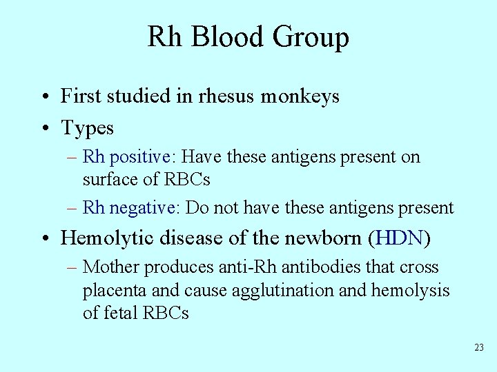 Rh Blood Group • First studied in rhesus monkeys • Types – Rh positive: