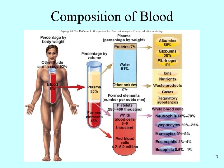 Composition of Blood 3 