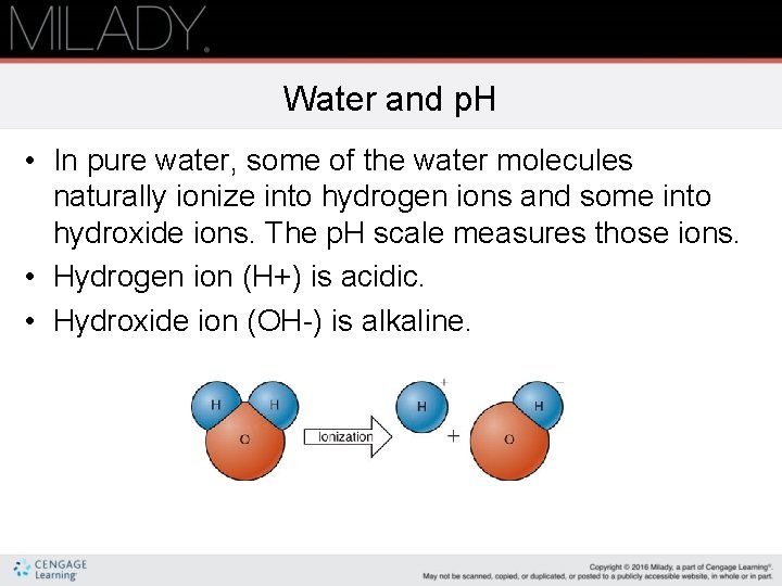 Water and p. H • In pure water, some of the water molecules naturally Water and p. H • In pure water, some of the water molecules naturally