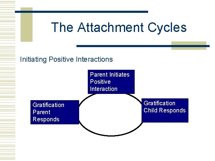 The Attachment Cycles Initiating Positive Interactions Parent Initiates Positive Interaction Gratification Parent Responds Gratification