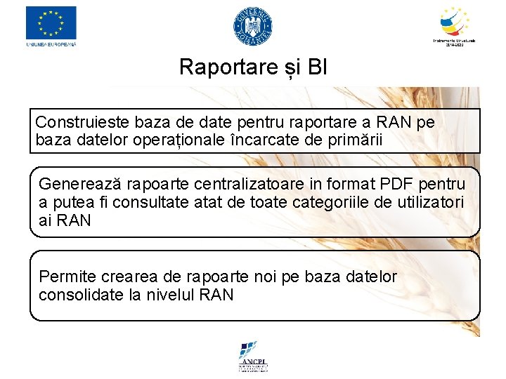 Raportare și BI Construieste baza de date pentru raportare a RAN pe baza datelor Raportare și BI Construieste baza de date pentru raportare a RAN pe baza datelor