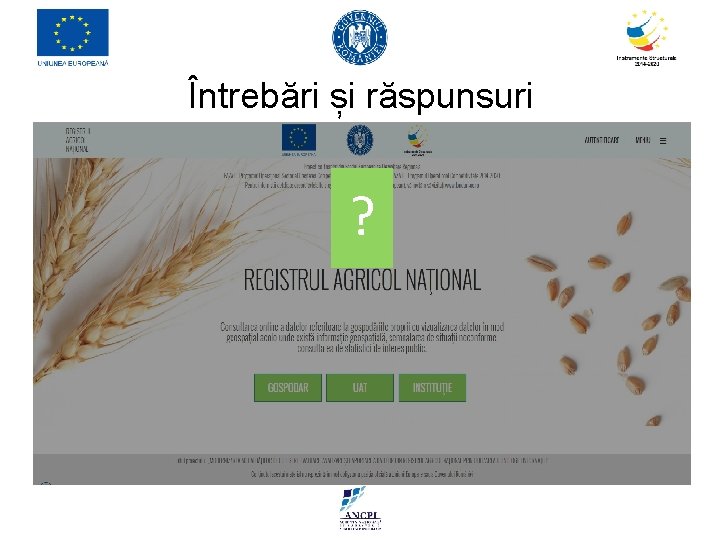 Întrebări și răspunsuri ? Întrebări și răspunsuri ?