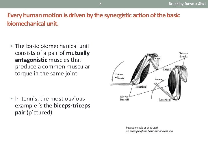 2 Breaking Down a Shot Every human motion is driven by the synergistic action