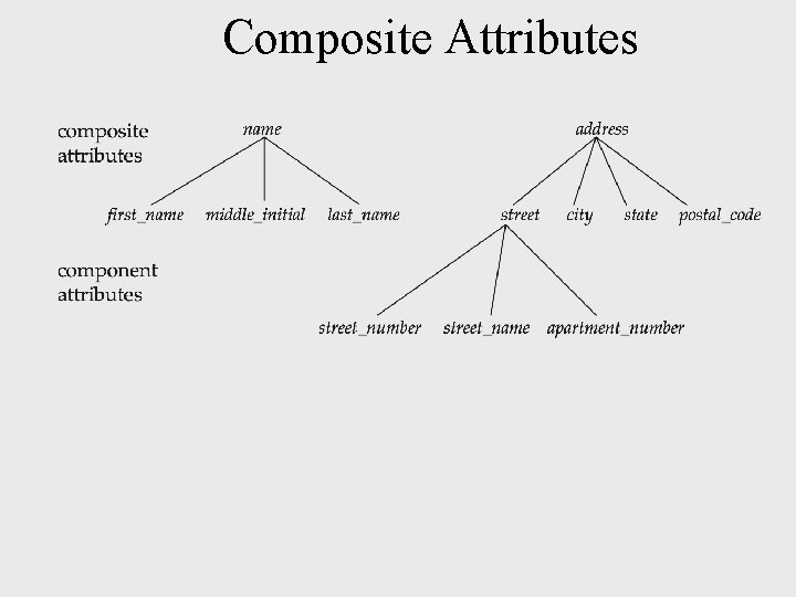 Composite Attributes Composite Attributes