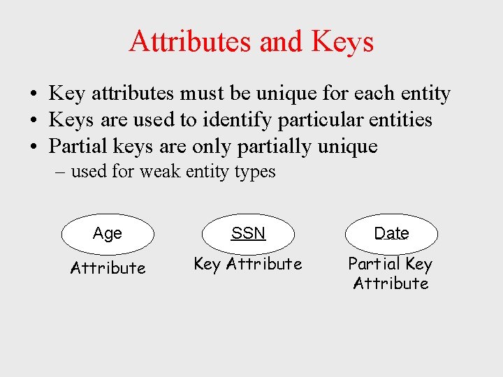 Attributes and Keys • Key attributes must be unique for each entity • Keys Attributes and Keys • Key attributes must be unique for each entity • Keys