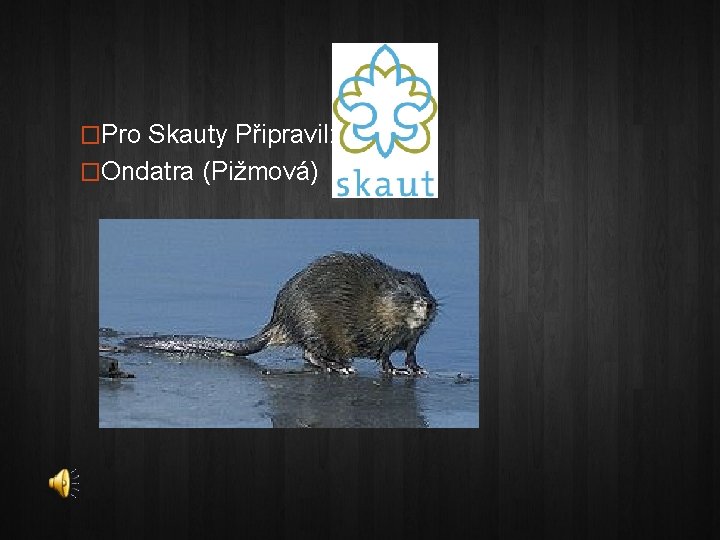 �Pro Skauty Připravil: �Ondatra (Pižmová) 