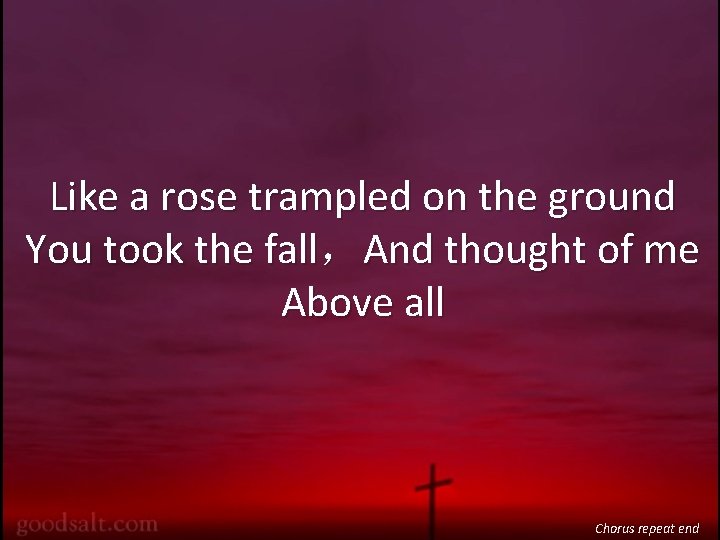 Like a rose trampled on the ground You took the fall，And thought of me