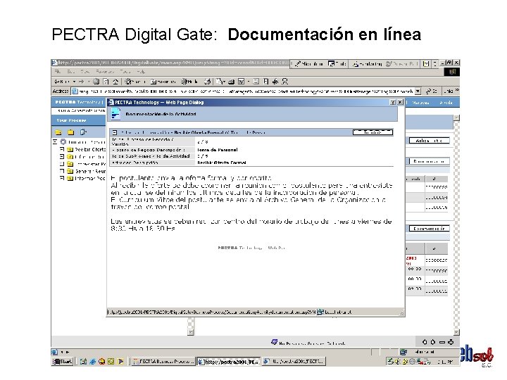 PECTRA Digital Gate: Documentación en línea 