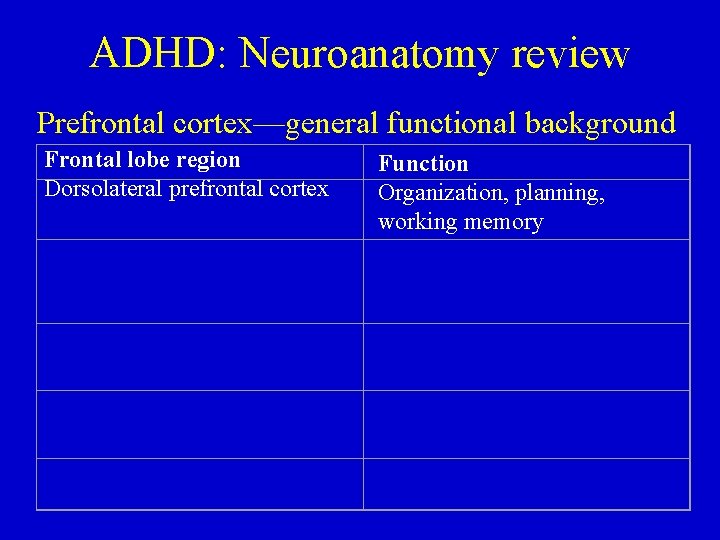 ADHD: Neuroanatomy review Prefrontal cortex—general functional background Frontal lobe region Dorsolateral prefrontal cortex Function